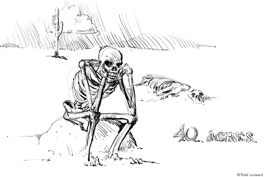 skeleton in desert